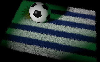 开云体育下载官网-巴西足球队备战世界杯，状态火热，巴西足球 世界杯